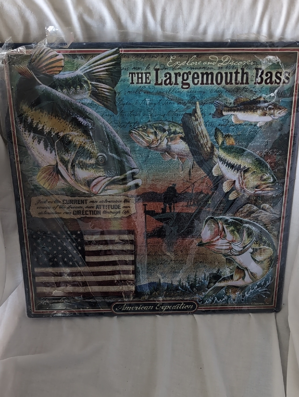 The Largemouth Bass 3D Tin Wall Art - Multi-Color Fish Print